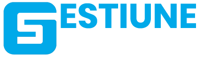 Gestiune Service